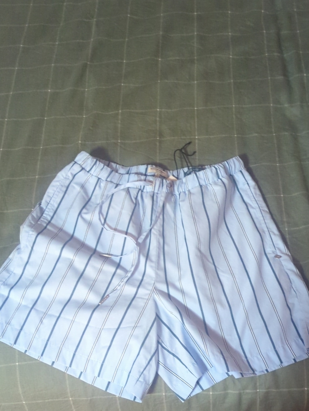Light Blue Striped Shorts
